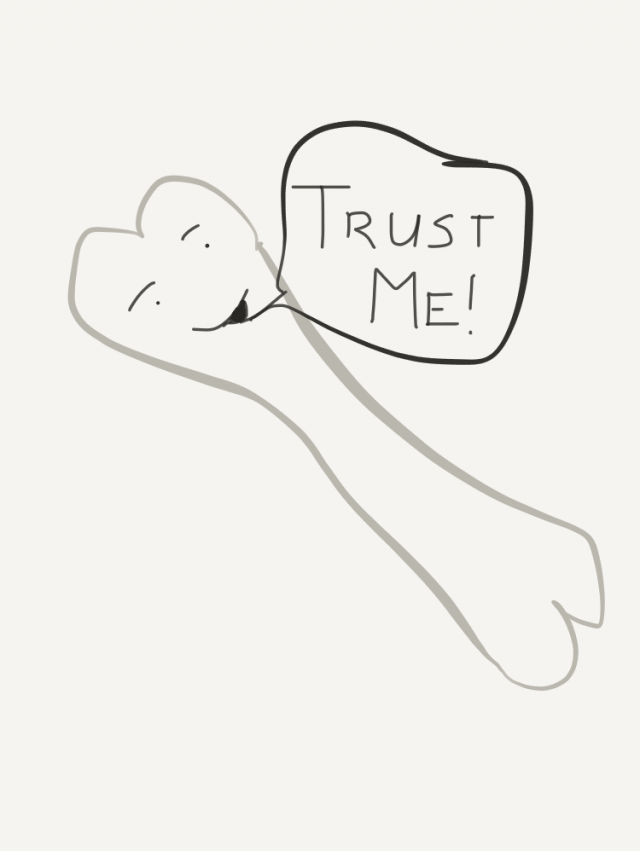 Bone Fides Bone Fides