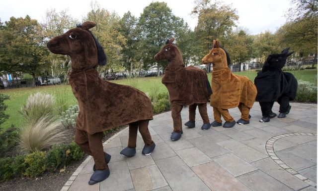 Pantomime Horses