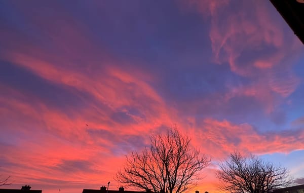 Mini-Gist: Power’s Walled City