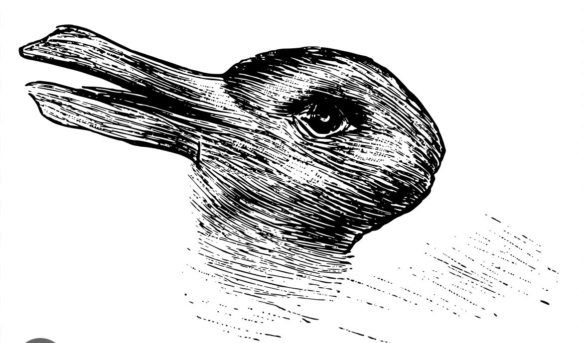 Duck season/Rabbit Season- the ambigious image which can either be a duck or a rabbit